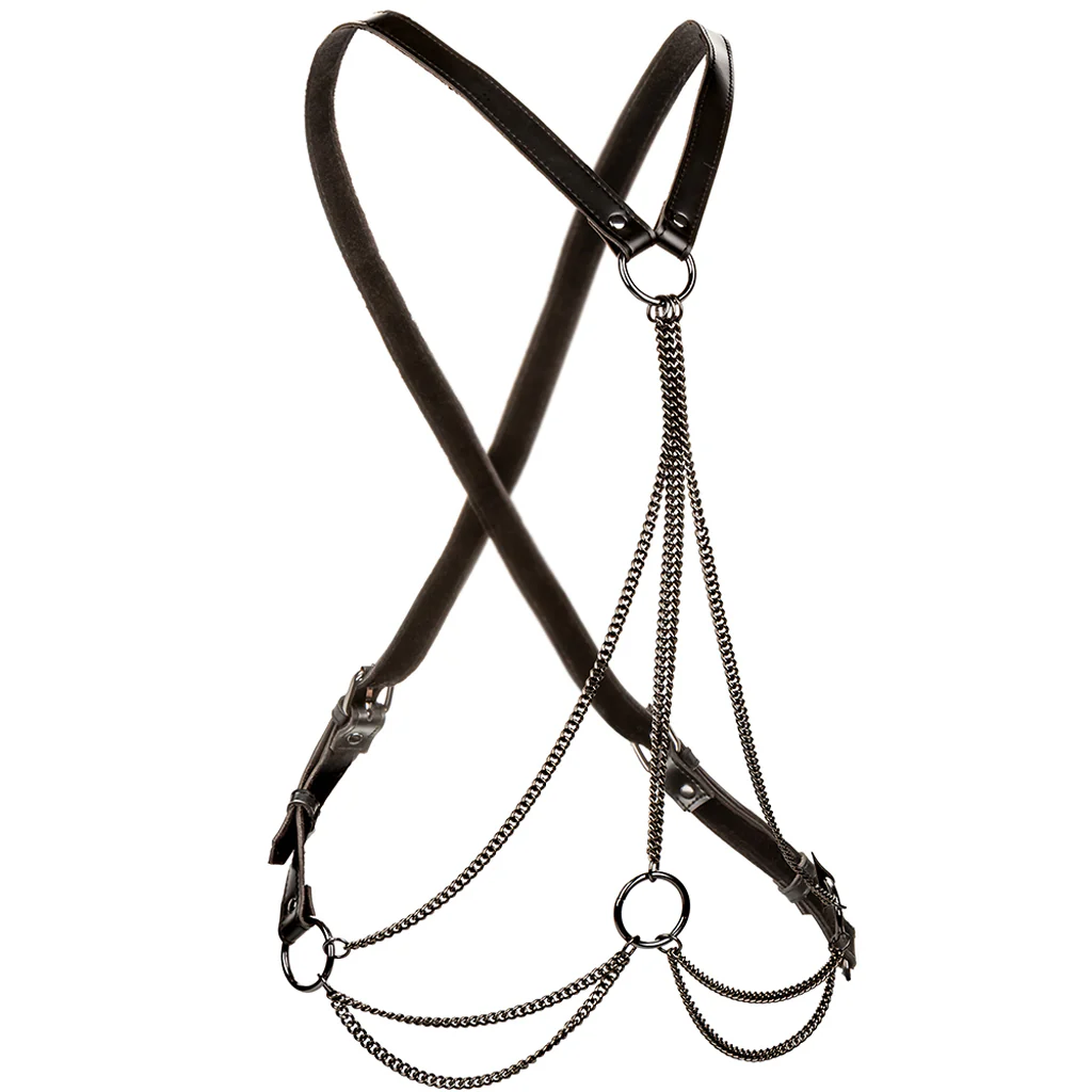 Euphoria Multi Chain Harness XL - Image 2